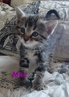 Mae (Available 12/12/25)