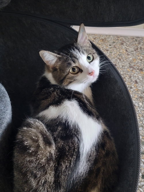 Nelly