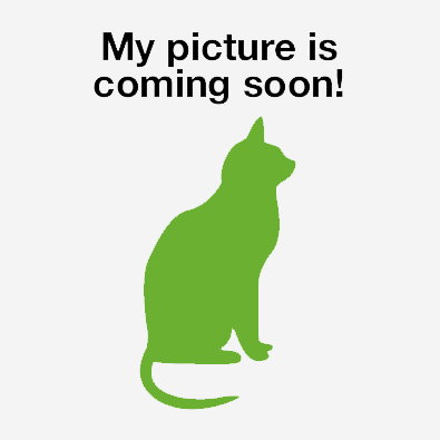 Wampus Cat (Available 11/28/25)