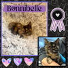 Bonnibelle (medical hold)