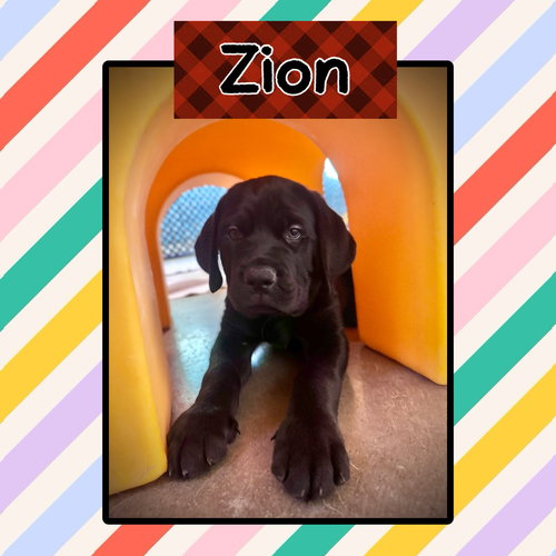 Zion