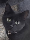 Binxlee (Available 1/30/26)