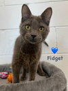Fidget