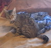 Winnie (Available 2/6/26)