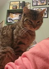 Winnie (Available 2/6/26)