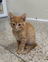 Praline (Available 3/20/26)