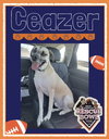 Ceazer