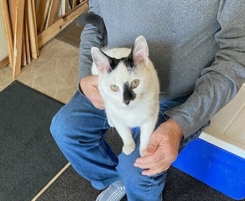 Casper (Courtesy Listing)