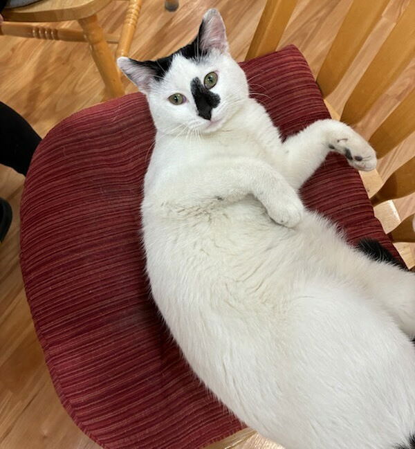 Casper (Courtesy Listing)