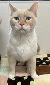 Oliver