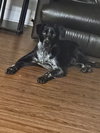 George (Courtesy Listing)
