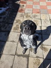 George (Courtesy Listing)