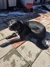 George (Courtesy Listing)