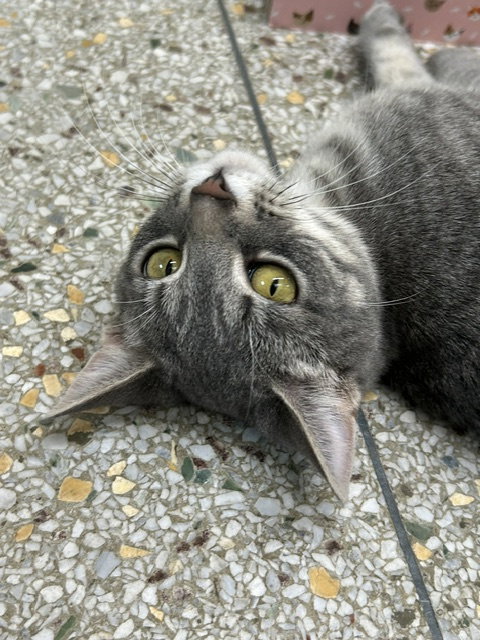 Winona (Available est 6/4/26)