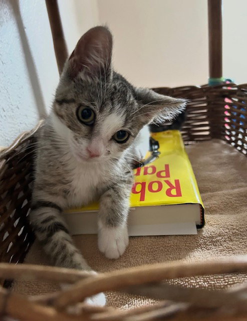 Charlie photo 2