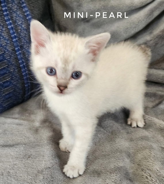Minnie Pearl (Available 11/13/26)