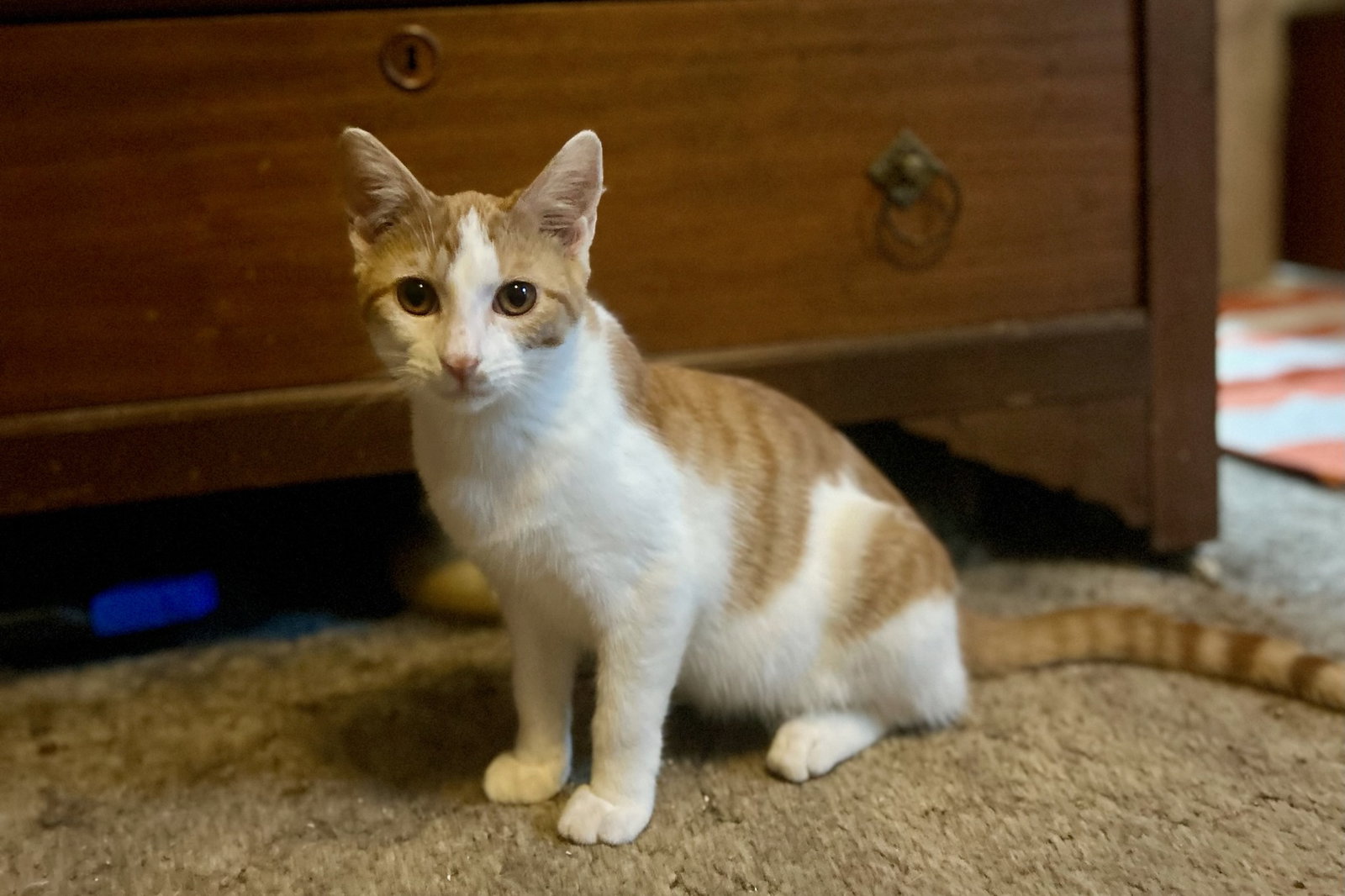Handsome