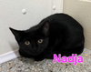 Nadja (Available 10/30/26)