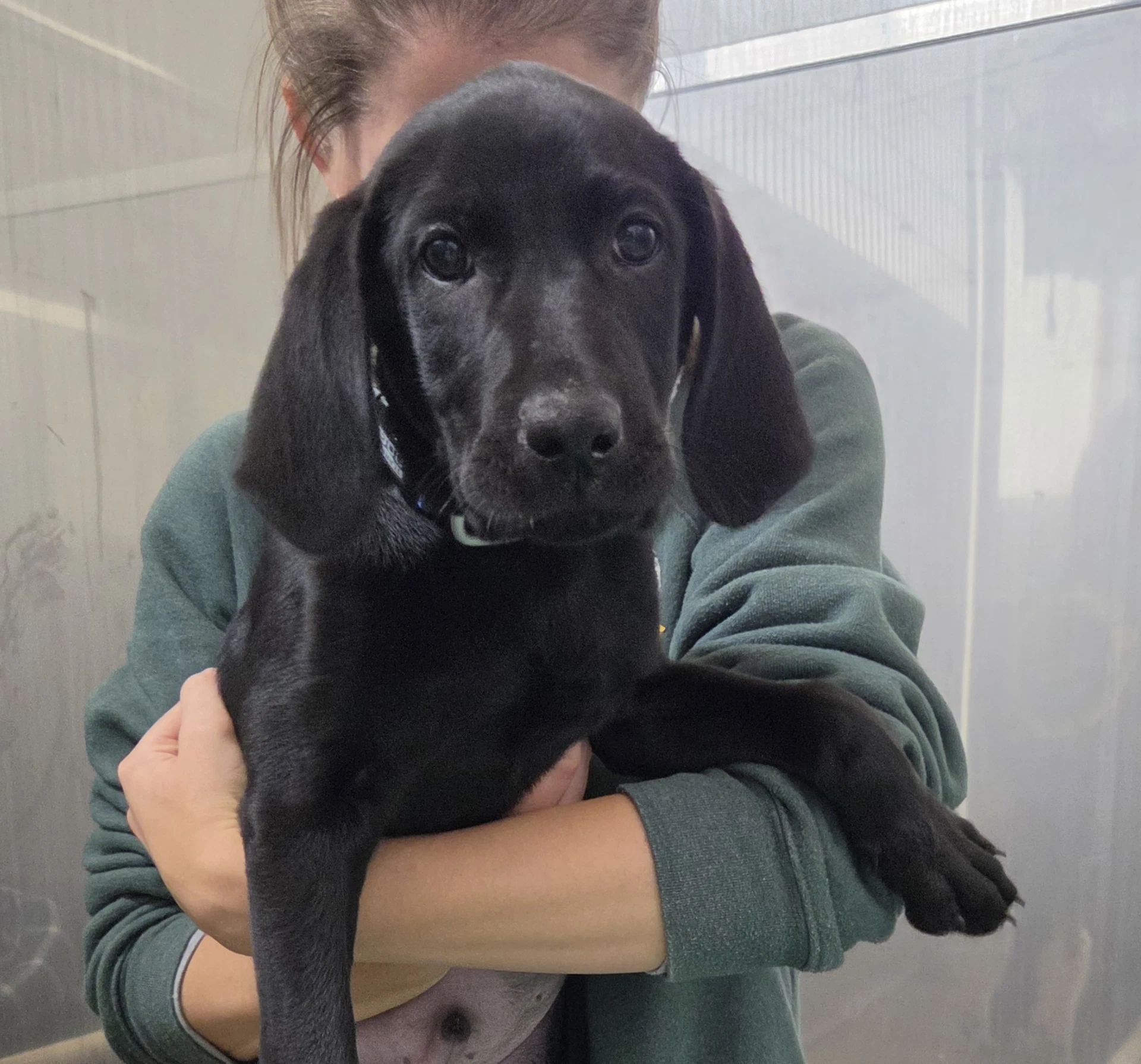 Marvin Available