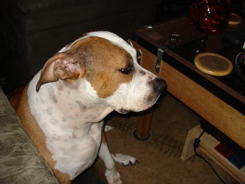 Tyche (Courtesy Listing)