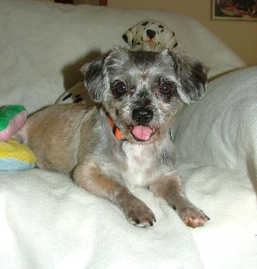 Corky
