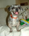 Corky
