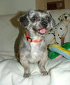 Corky