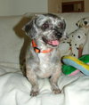 Corky