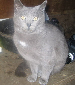 Julie