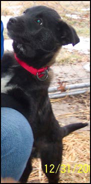 Tucker