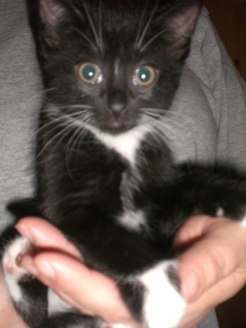 Tux