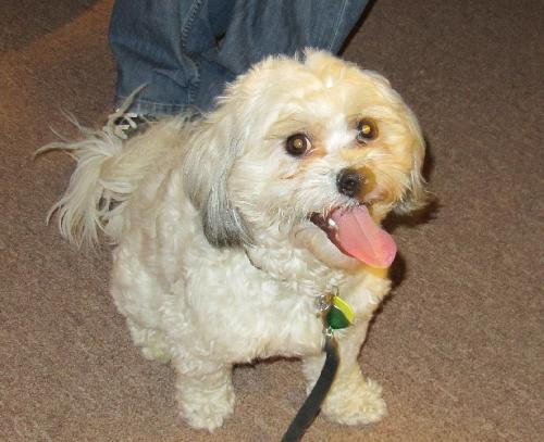Corky