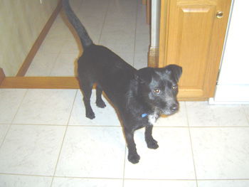 Jake