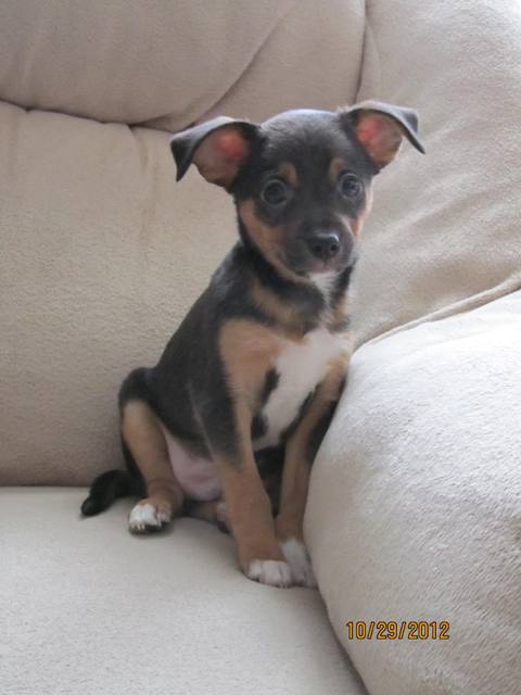 Tucker
