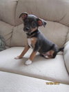 Tucker