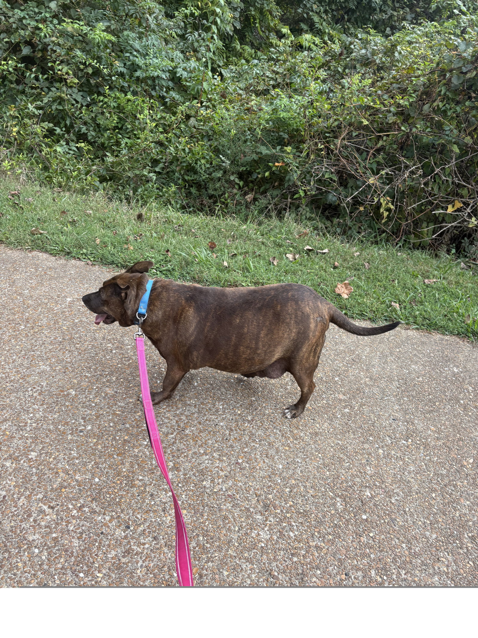 Ember, photo 3