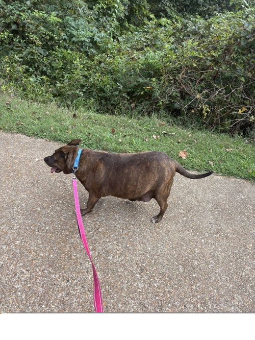 Photo 3 of Ember
