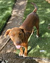 Caine - Photo 1