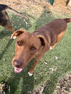 Caine - Photo 2