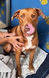 Caine - Photo 3