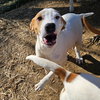 Linus - Photo 2