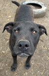 Max - Photo 1