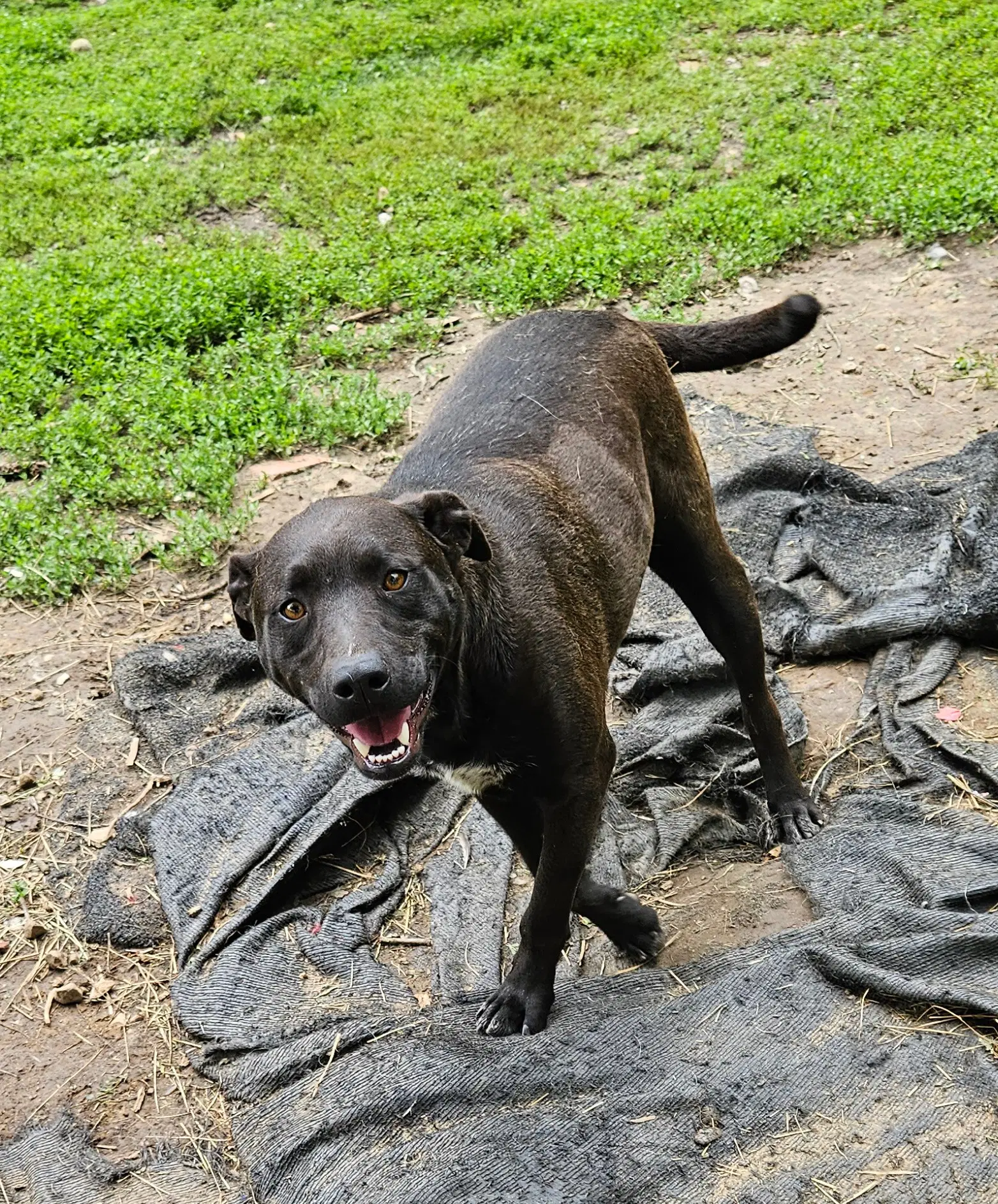 Max image 2