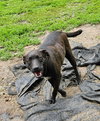 Max - Photo 2