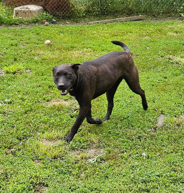 Max