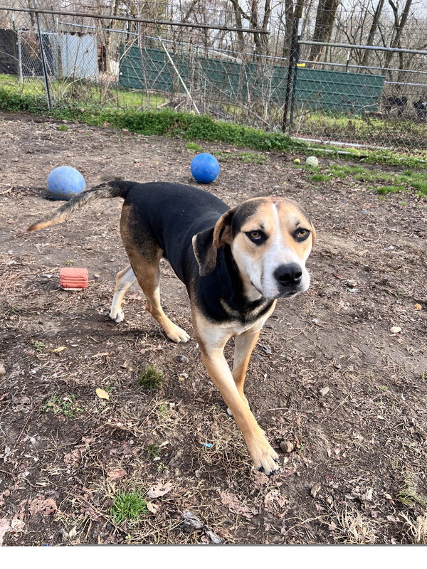 Roscoe