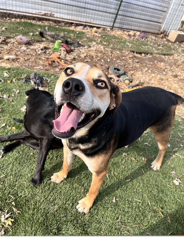 Roscoe
