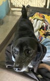 Zoe - Photo 3