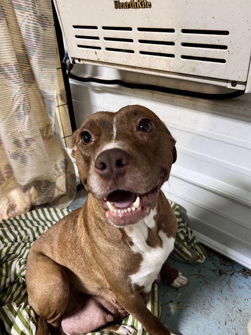 Chloe
