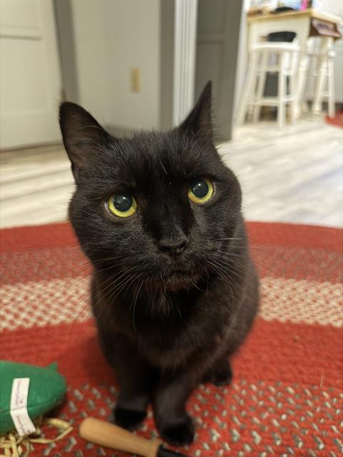 BOO